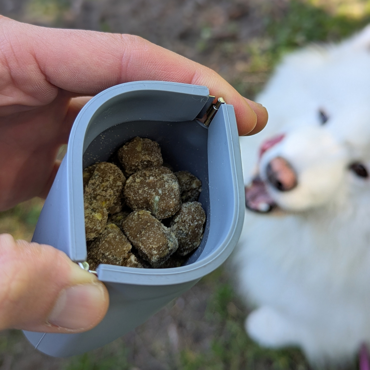 One-Hand Treat Training Pouch